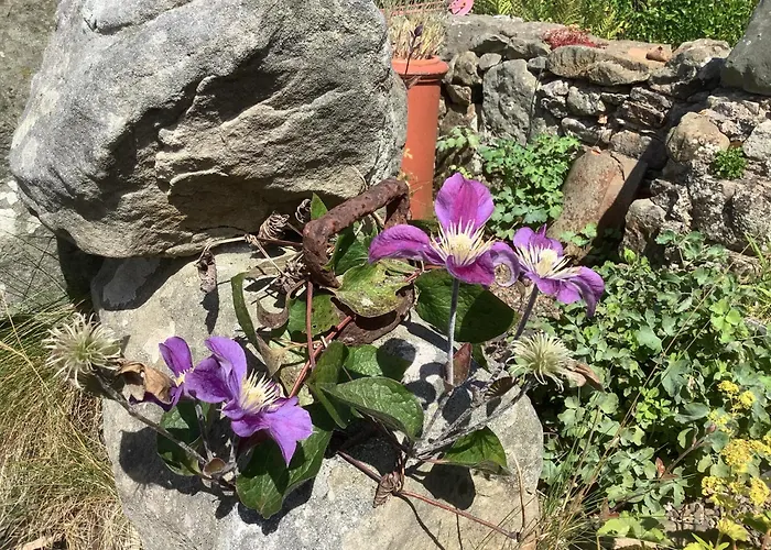 Balmungo Cottage B&B